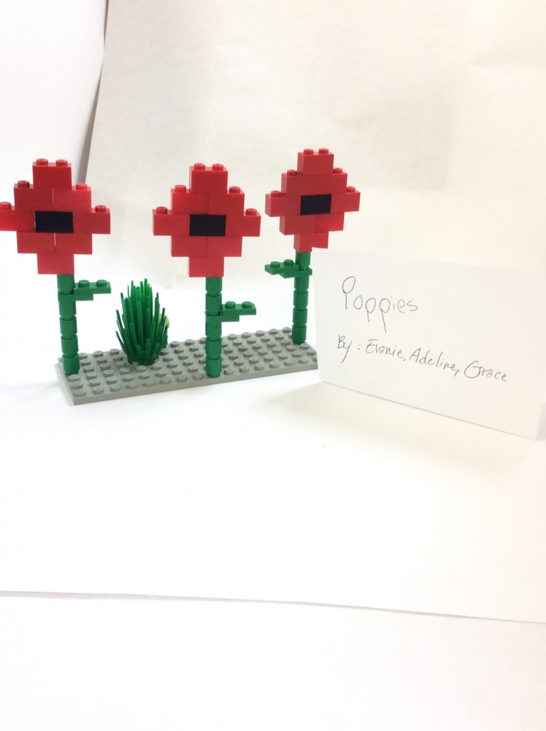 Poppies by Evanie, Adeline and Grace